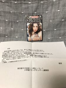 【未使用品】 【送料無料】 【抽プレ】 吹石一恵　テレカ　テレフォンカード　週刊ヤングサンデー 当選品 編集部からの手紙付き