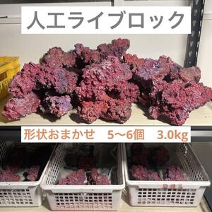 人工ライブロック 形状お任せ5〜6個　3.0kg