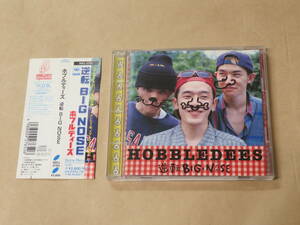 逆転BIG NOSE　/　 ホブルディーズ（HOBBLEDEES）/　CD　/　帯付き