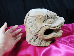 d 唐代陶製獅子頭部像　唐時代　遺跡発掘品　中国　/　副葬品　墳墓　シルクロード　明器　埋蔵文化財　素焼き　洛陽