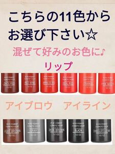 アートメイク 色素 bio touch アイブロウ　 