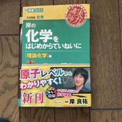 東進books 岸の化学をはじめからていねいに [理論化学] 編