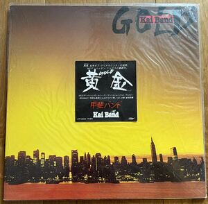 甲斐バンドさんのLP、『GOLD(黄金)』