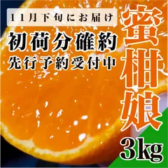 【ほっぺたが落ちます】蜜柑娘　濃厚甘味実感　有田みかん　極早生みかん　オリジナルブランド　和歌山県有田郡産　田口早生　3㎏入り　初採れ　和歌山みかん　紀州みかん　有田みかん　早生　フォロー割　送料無料