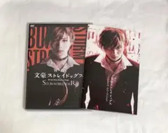 舞台 文豪ストレイドッグス STORM BRINGER DVD