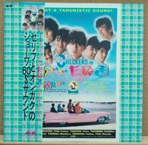 LP(帯付,’85年4月盤,カラーレーベル,ライナー無)ザ・チェッカーズ THE CHECKERS / チェッカーズ inTAN TAN たぬき【同梱可能6枚まで】0819