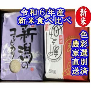 食べ比べセット　令和6年産新潟新之助　特別栽培米コシヒカリ　白米5kg各1個181