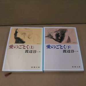 愛のごとく 上下巻 渡辺淳一 文庫本