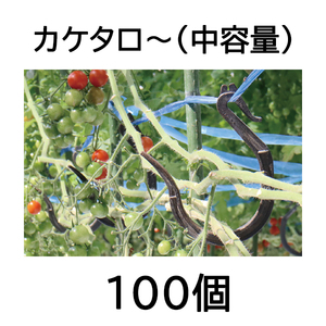 (100個入) 誘引資材 カケタロー (中容量) TAR-800 カケタロ～ トマト ミニトマト シーム