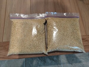 ♪コシヒカリ 約2ｋｇ 玄米 古米 生産年不明♪