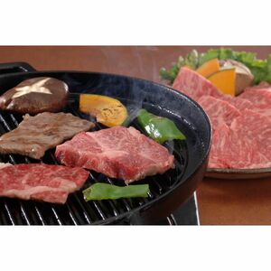 〔グルメギフト〕長野 信州プレミアム牛肉 焼肉用 モモ300g・バラ300g