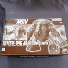 HG 1/144ジュアッグ　Ver.MSV