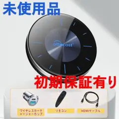 保証有り【最新】➓オットキャスト Ottocast P3