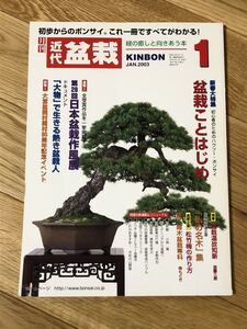 ■雑誌「近代盆栽」2003年1月号