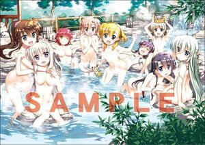 ViVid Strike BD/DVD ゲーマーズ全巻購入特典 B2 タペストリー /魔法少女リリカルなのは 藤真拓哉★未開封品★20240419-ウマay2