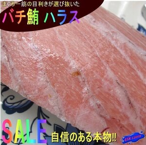 食通が唸る!! 希少な「バチまぐろのハラス 1.2kg」脂のってます。