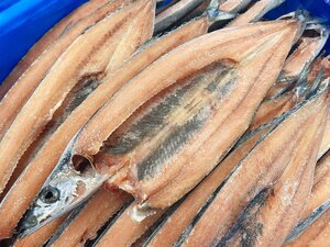 さんま開き 40尾 開きさんま さんま開 開さんま さんま サンマ 秋刀魚 焼魚 定食 おかず 業務用 IQF 【水産フーズ】