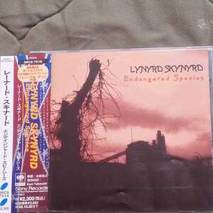 帯付CD◆レーナード・スキナード/ Lynyrd Skynyrd★1994年アコースティック『エンデインジャード・スピーシーズ/ Endangered Species+1』