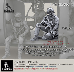 ◆◇ライブレジン【LRM35030】1/35 現用アメリカ空軍 HH-60Gペイブホーク クルー アメリカ空軍特殊作戦コマンド(AFSOC)隊員3◇◆　