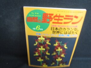 自然と野生ラン1992.6日本のカランセ世界にはばたく　シミ日焼け有/REB