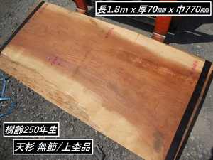 樹齢250年 天杉 上杢 184cmX巾87～89cmX厚7cm 無節 無垢一枚板 年輪目細 座卓 天板素材 テーブル材料 店舗 最高級 天然杉 耳付き 木材 希少