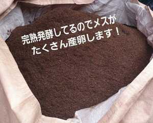 カブトムシ幼虫の大量飼育にどうぞ！天然マット【300L】オオヒラタケ菌床を粉砕し自然界のバクテリアのみで6ヶ月間完熟発酵させました！