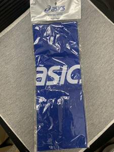 新品 未使用 アシックス asics シューバッグ（L）TZS987 シューズバッグ 35×40cm