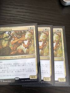 フェイ庄の古老 エルドレインの王権 日本語 マジックザギャザリング MTG　3枚まで