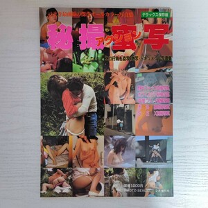 【雑誌】秘写秘撮アクション デラックス保存版 PHOTO SEXUAL2月増刊 1985年 大洋書房