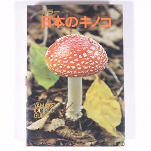 カラー 日本のキノコ 今関六也編・解説 山渓カラーガイド 山と溪谷社 山と渓谷社 1974 単行本 図版 図録 茸 キノコ