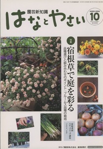 ■園芸新知識 はなとやさい　2006.10月号 検：チョコレートコスモス