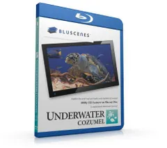 【中古】Underwater Cozumel [Blu-ray]