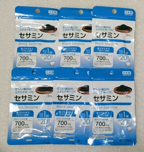 セサミン 黒ゴマエキス【合計120日分6袋】1日1錠 忙しい毎日のスタミナキープに 栄養機能食品 日本製 サプリメント