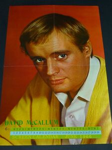 ［ピンナップポスター］ デヴィッド・マッカラム David McCallum 29x46cm 1960年代映画雑誌より ナポレオン・ソロ
