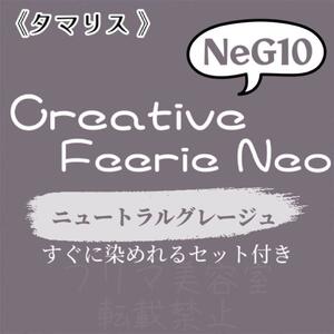 NeG10 ファッションカラー　セット　ロング　ヘアカラー ニュートラルグレージュ　グレー　ベージュ　ヘアカラー剤　おしゃれ染め　美容室