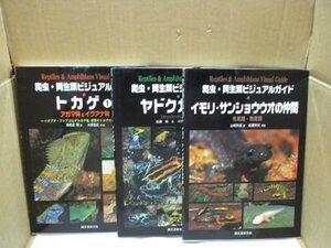 図鑑 爬虫・両生類ビジュアルガイド 計3冊セット 誠文堂新光社 トカゲ① ヤドクガエル イモリ・サンショウウオの仲間 アガマ&イグアナ