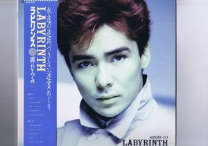 盤質良好 国内盤 LP Hiromi Go = Hiromi Go / Labyrinth / 郷ひろみ ラビリンス 帯付き 28AH1916