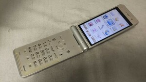 D4874 docomo FOMA P-01F Panasonic パナソニック ガラケー 折り畳み式 簡易動作確認＆簡易清掃＆初期化OK 判定○ 現状品 送料無料　