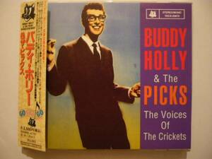 BUDDY HOLLY & The PICS 帯付CD ロカビリー オールディーズ