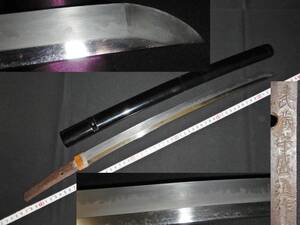 日本刀・脇差４５ｃｍ武蔵守盛道作・刃紋派手丁子刃（４４．５ｃｍ）拵入り（大刀脇差短刀軍刀剣居合刀拵日本軍刀緒剣半太刀型軍刀緒刀装具