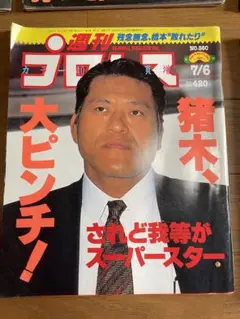 週刊プロレス　他　おまとめ　51冊　昭和　プロレス雑誌