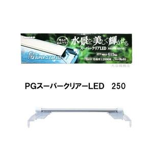 ▽ニッソー PGスーパークリアLED 250 送料無料 但、一部地域除 2点目より500円引