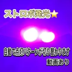 ピンク ストロボライト バイク 自動車 LED 蛍 暴走 デイライト ポジション