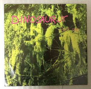 USオルタナティブ希少盤 Dinosaur Jr / Get Me 〔US盤12インチ〕