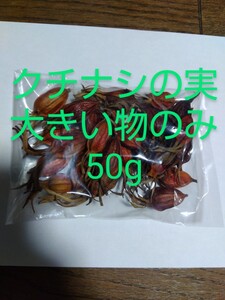 クチナシの実　大きめの実のみ　梱包資材込み約50g　農薬不使用