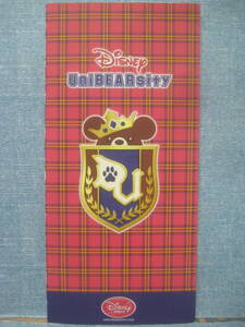 ☆ディズニーストア DiSNEY UniBEARsity ユニベアシティ 初代 初期 パンフレット カタログ 希少☆