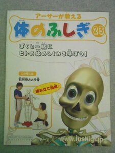 特3 72598★ / アーサーが教える 体のふしぎ 23 2007年8月8日発行 口 歯 胃の中へ 小腸 肝臓 胆のう すい臓 アシェット