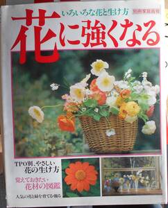 花に強くなる　いろいろな花と生け方　TPO別やさしい花の生け方　別冊家庭画報