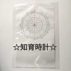 知育時計★ラミネート 時計勉強 とけい 視角支援 お風呂のおもちゃ 玩具 ハンドメイド 教具　保育園 教材 受験 モンテッソーリ 幼児教育