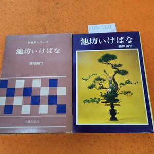 F09-100 新独習シリーズ 池坊いけばな 藤原幽竹